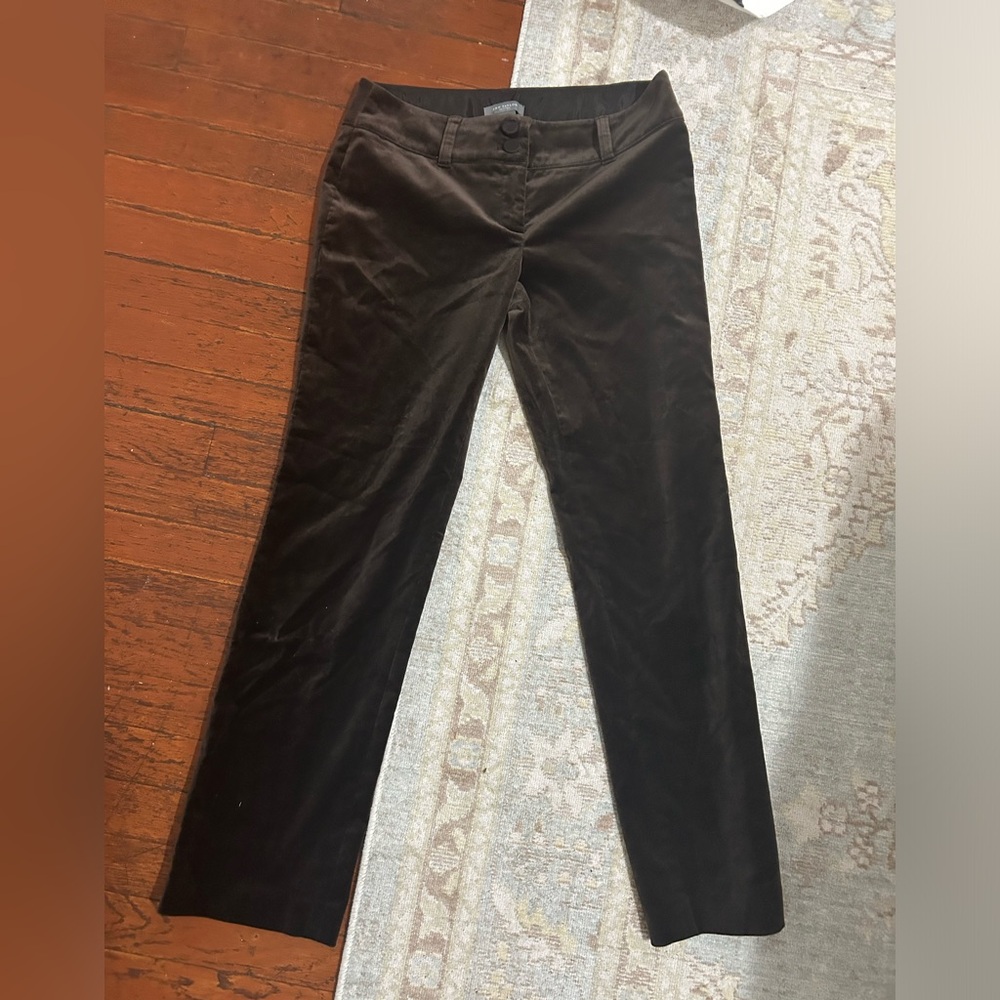 Ann Taylor velvet Pants in Brown